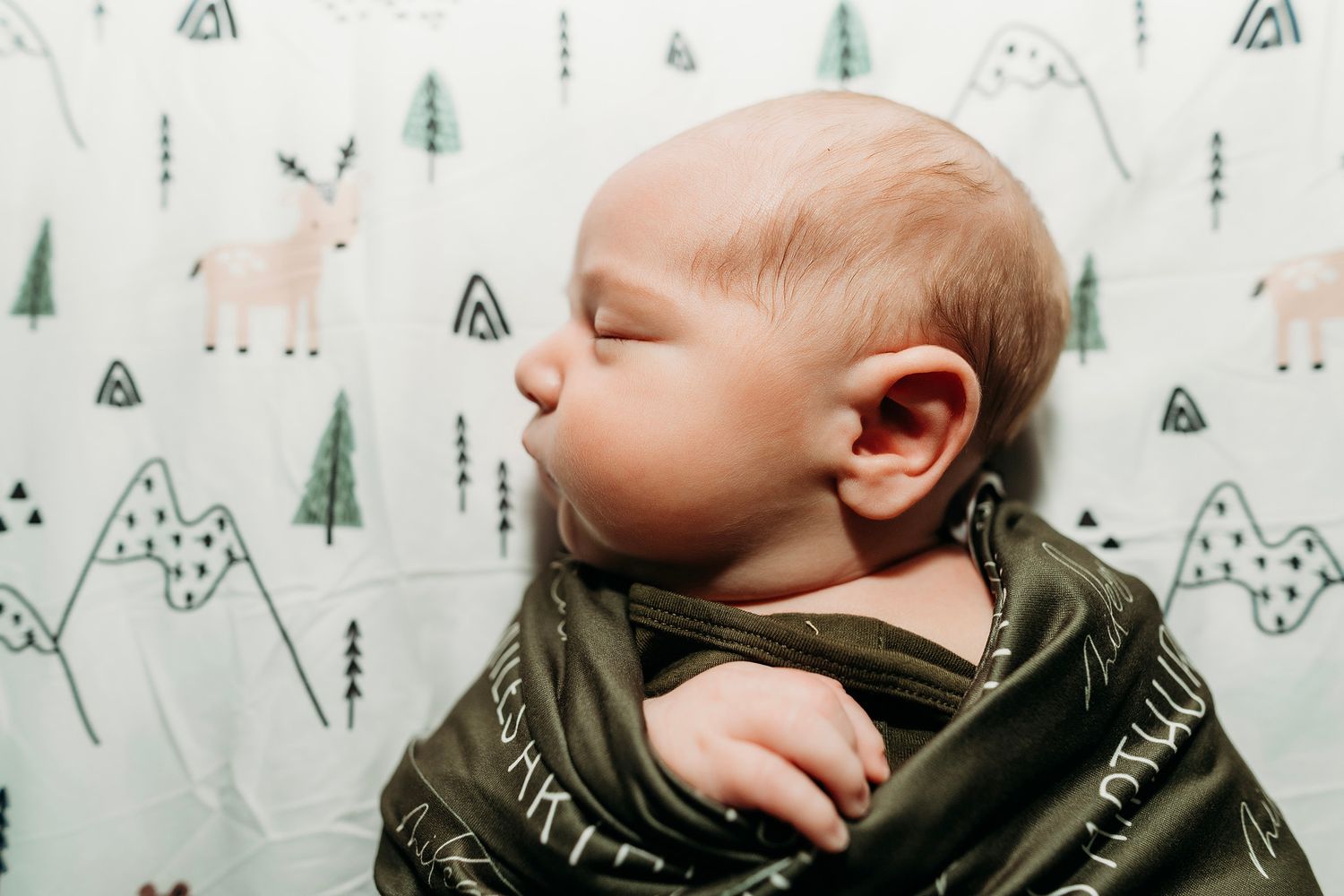 Fenton Michigan Newborn Photographer