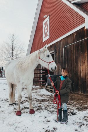 A white horse wearing red boots stands in the snow next to a red barn while being groomed on a winter day.