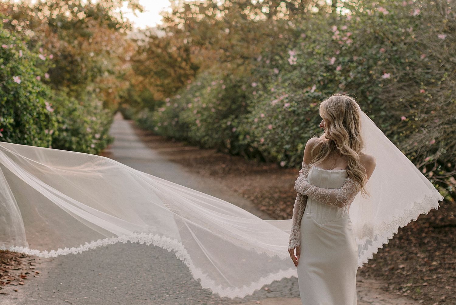 Bride in fitted white gown with flowing lace-edged veil billowing on a tree-lined garden path at sunset. Bakenhof, Wellington.