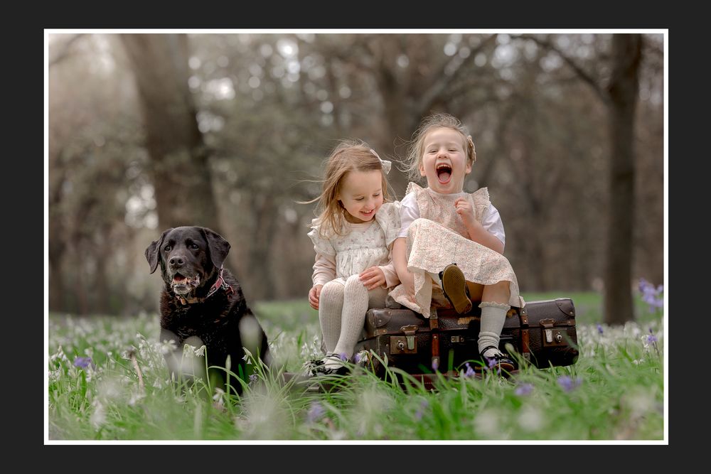 Two little girls sit on a vintage suitcase laughing with a black Labrador in a bluebell woodland.