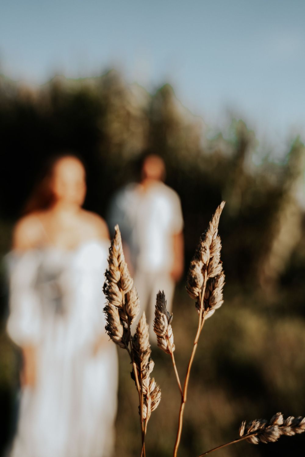 Tall grass in focus with blurred silhouettes of a couple in white clothing in the background.