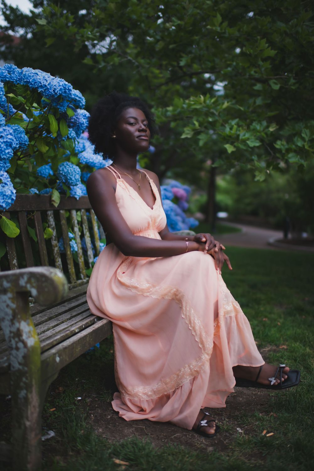 Serene garden scene with someone in a peachy dress seated on a bench near blue hydrangeas.