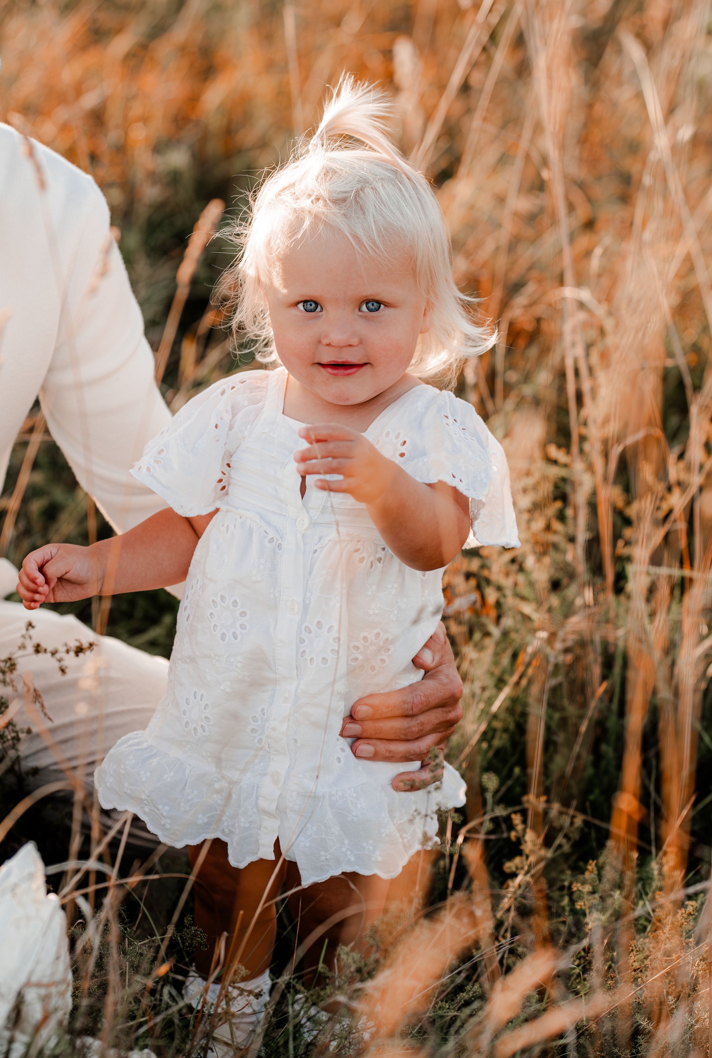 Liten flicka på en äng i vit klänning