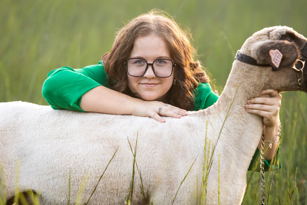 A sheep poses with someone wearing glasses and a green sweater in a grassy field.