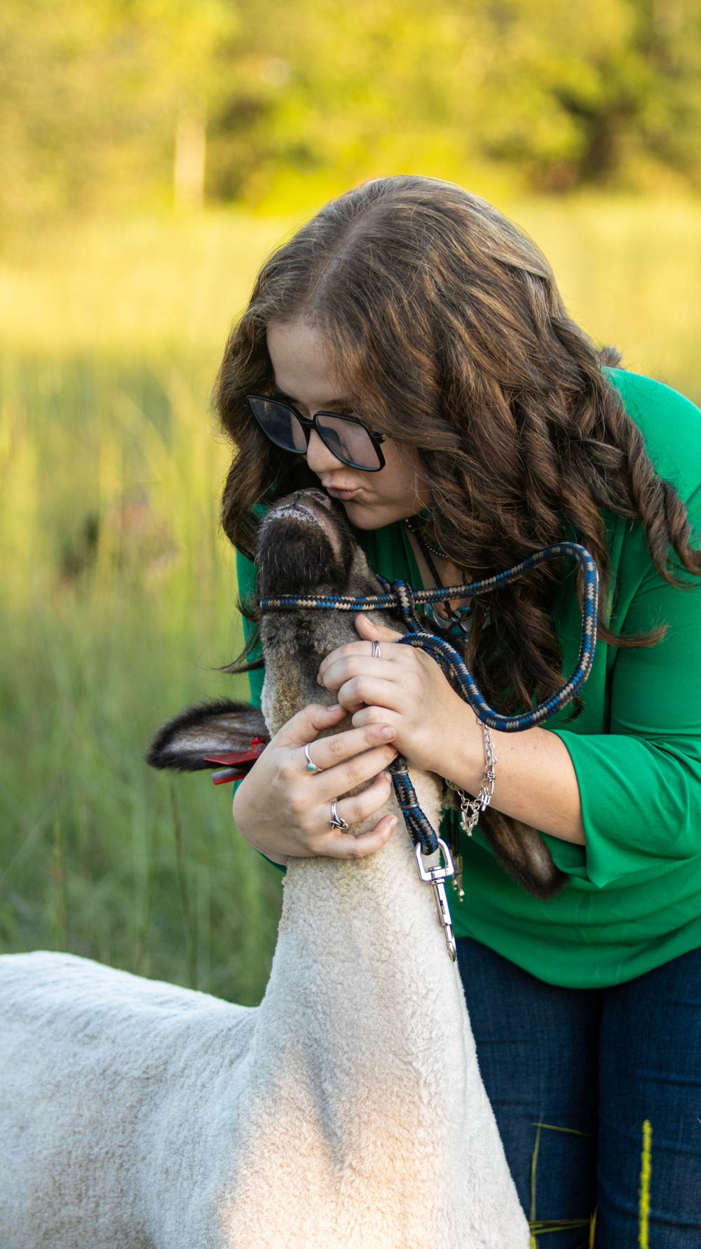 Multiple shots of someone in a green sweater hugging and petting a white sheep with a dark face outdoors.