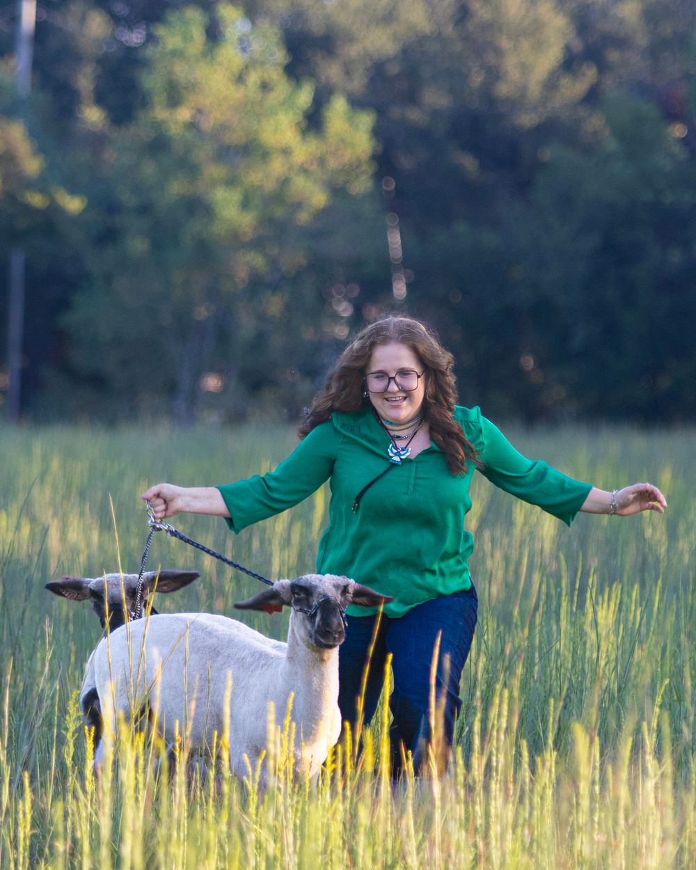 Someone in green clothing walking with sheep through tall grass in a sunny field.