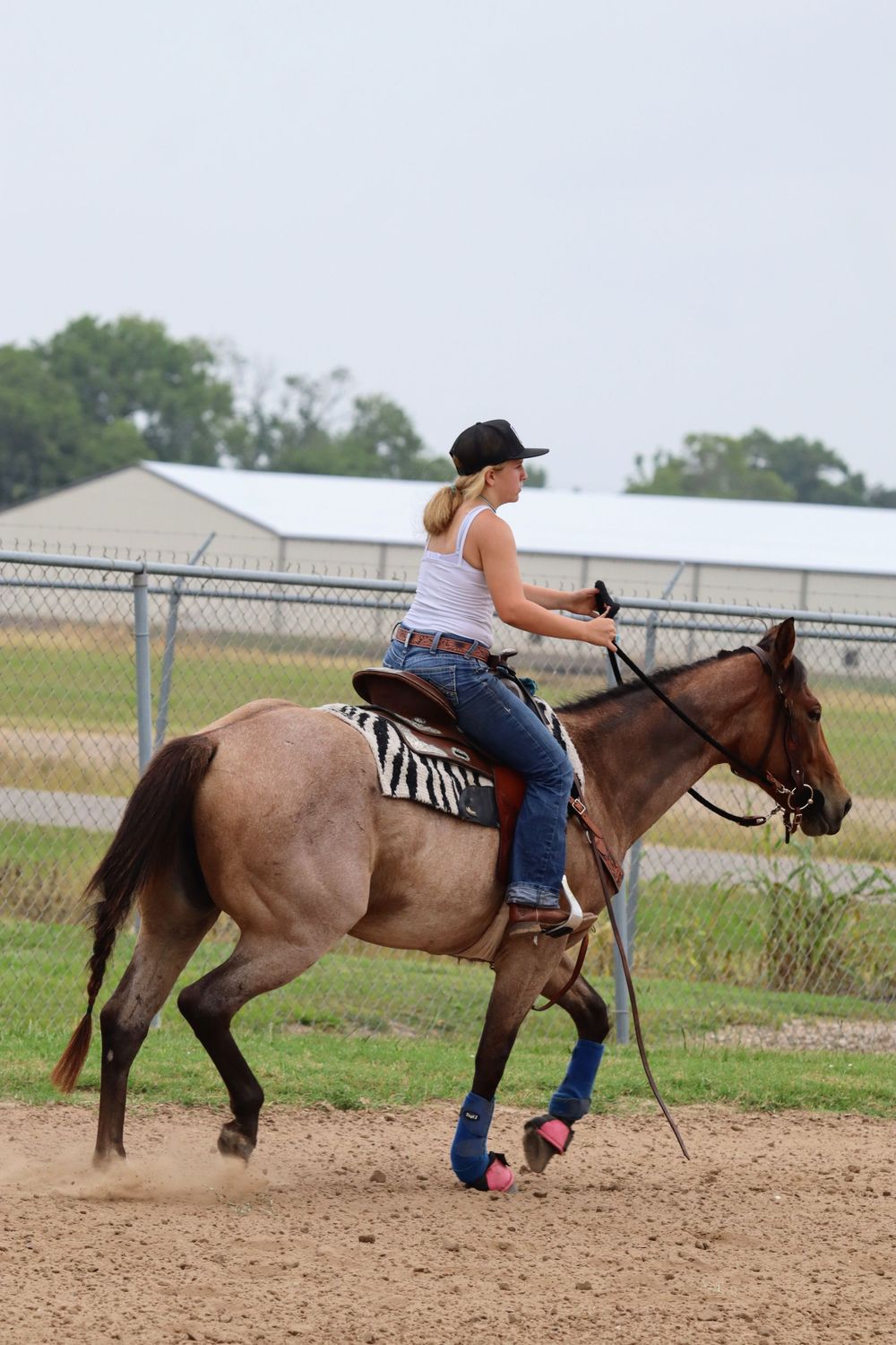 Sequence showing horse and rider performing training exercises in dirt arena.
