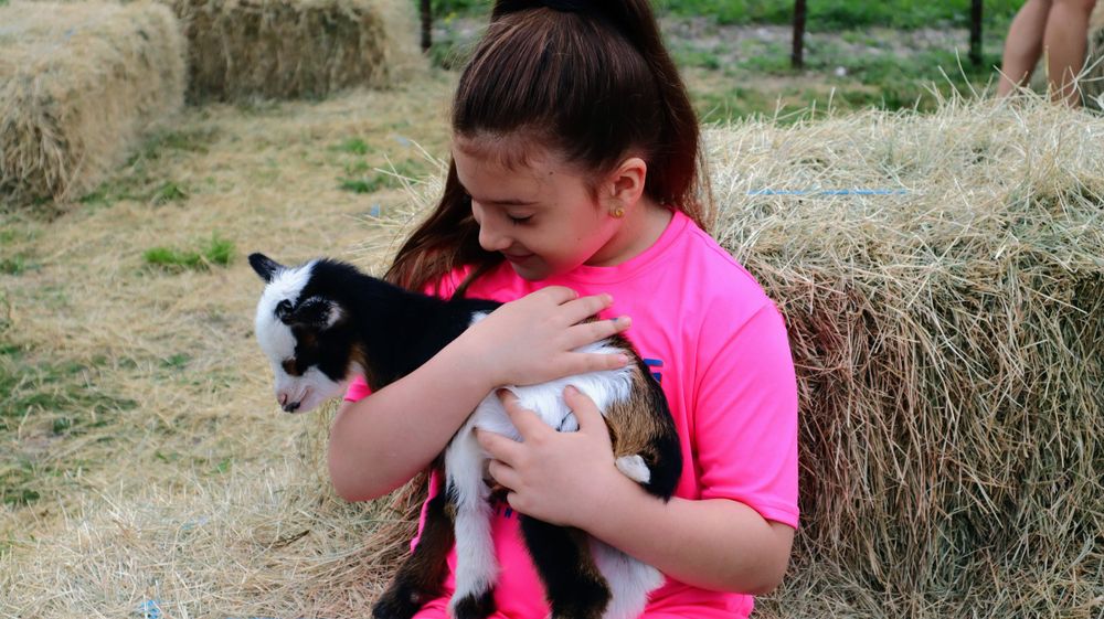 Young person in pink shirt holding a small black and white kitten near hay bales.