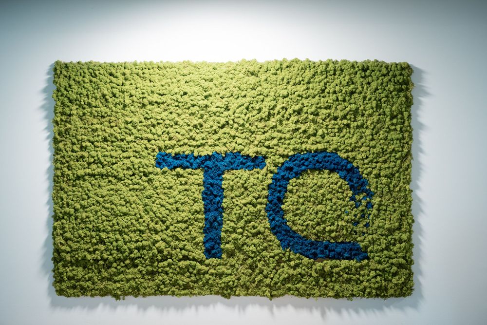 A green textured wall decoration displaying blue TC letters in a modern office setting.