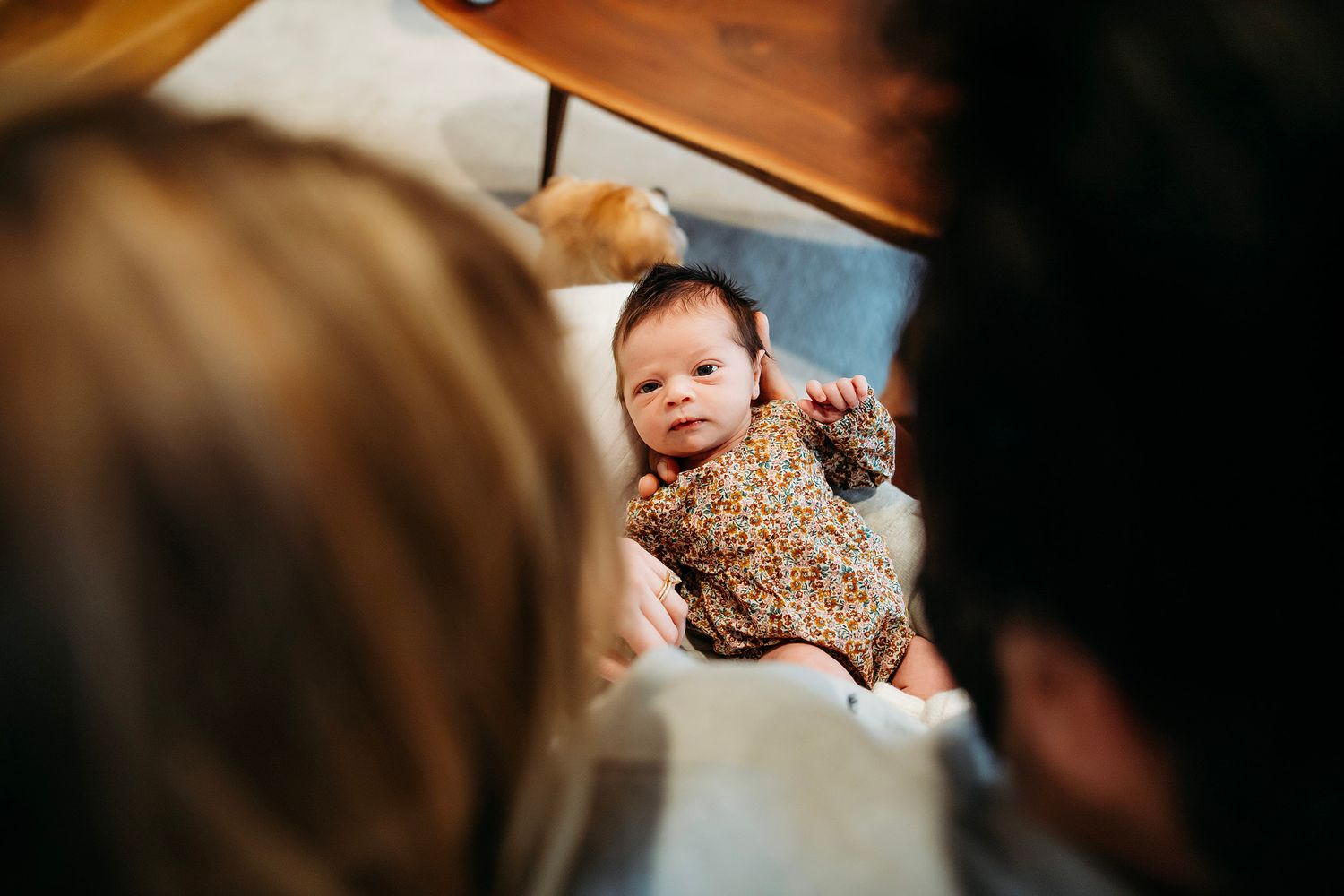 Ann Arbor Newborn Photographer