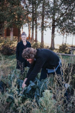 A bearded man investigates his crops.
