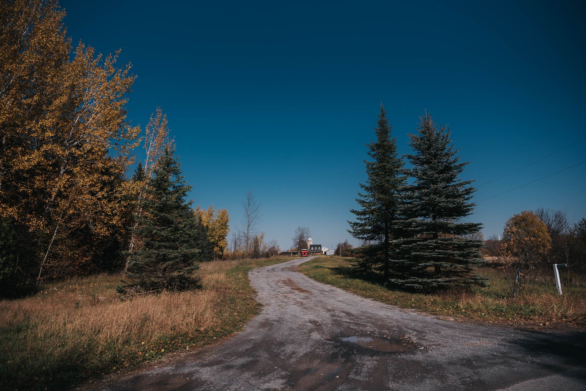 Long driveway up to the farm and farmhouse.