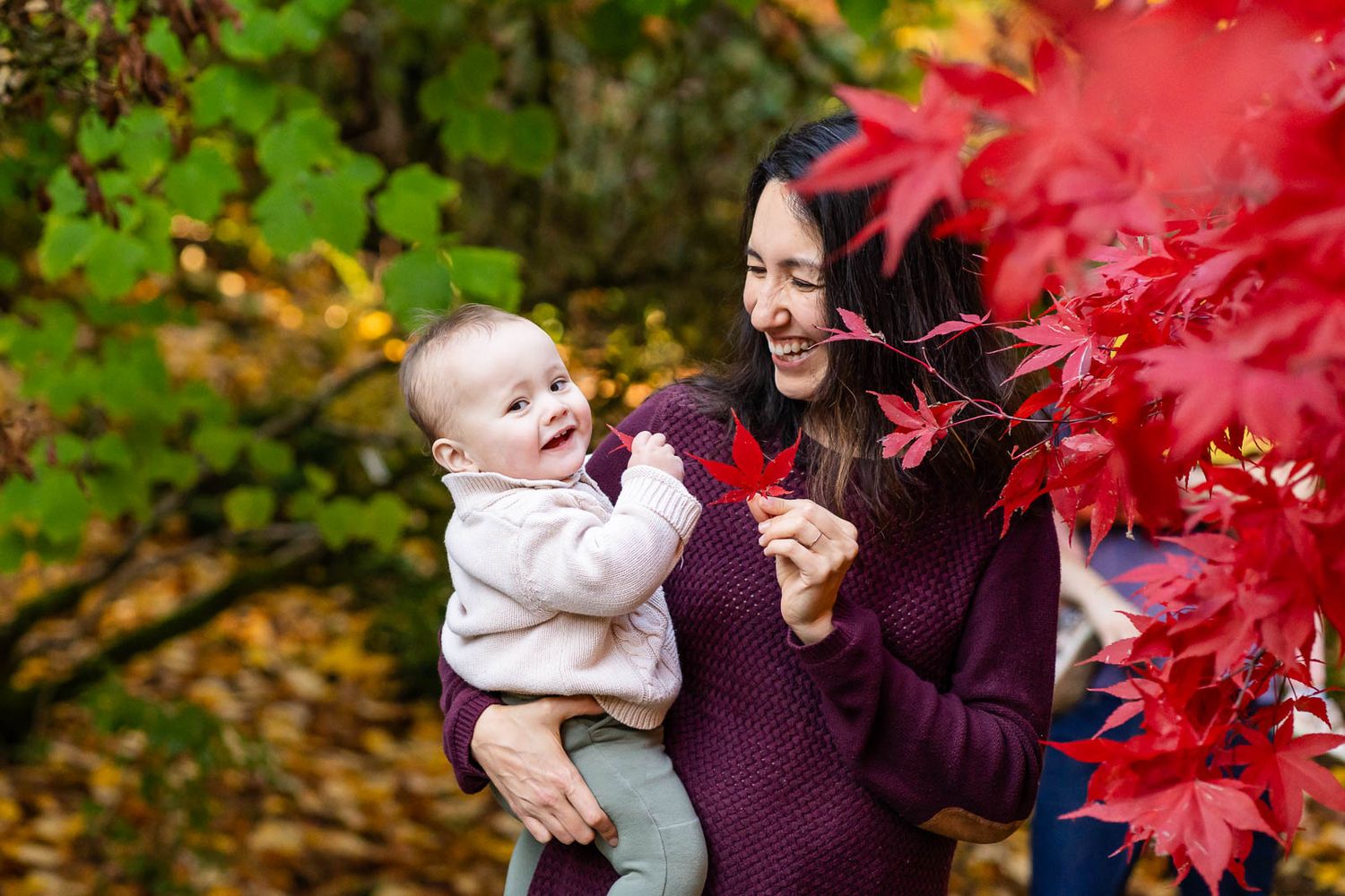 Mother and son play with maple leaves in Seattle.