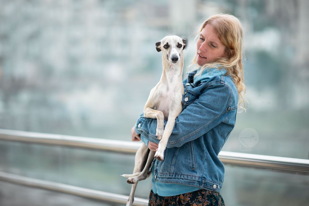 Chien whippet crème dans les bras d'une jeune femme