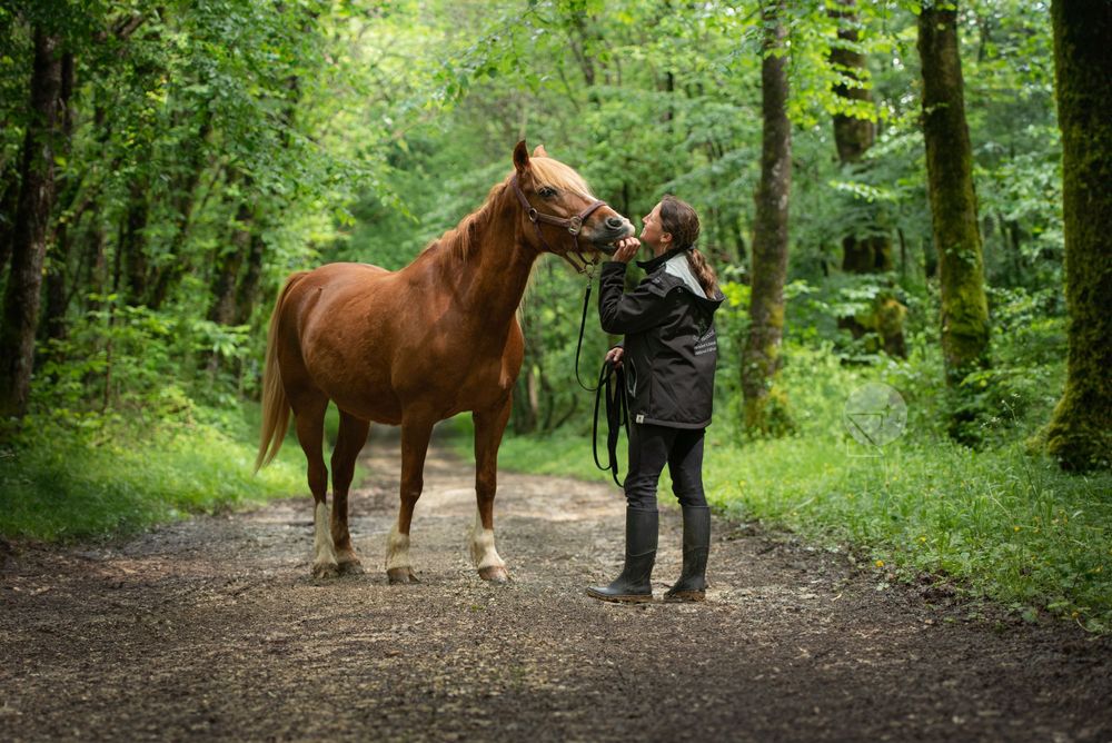 Poney français de selle azelan et jeune femme dans les bois