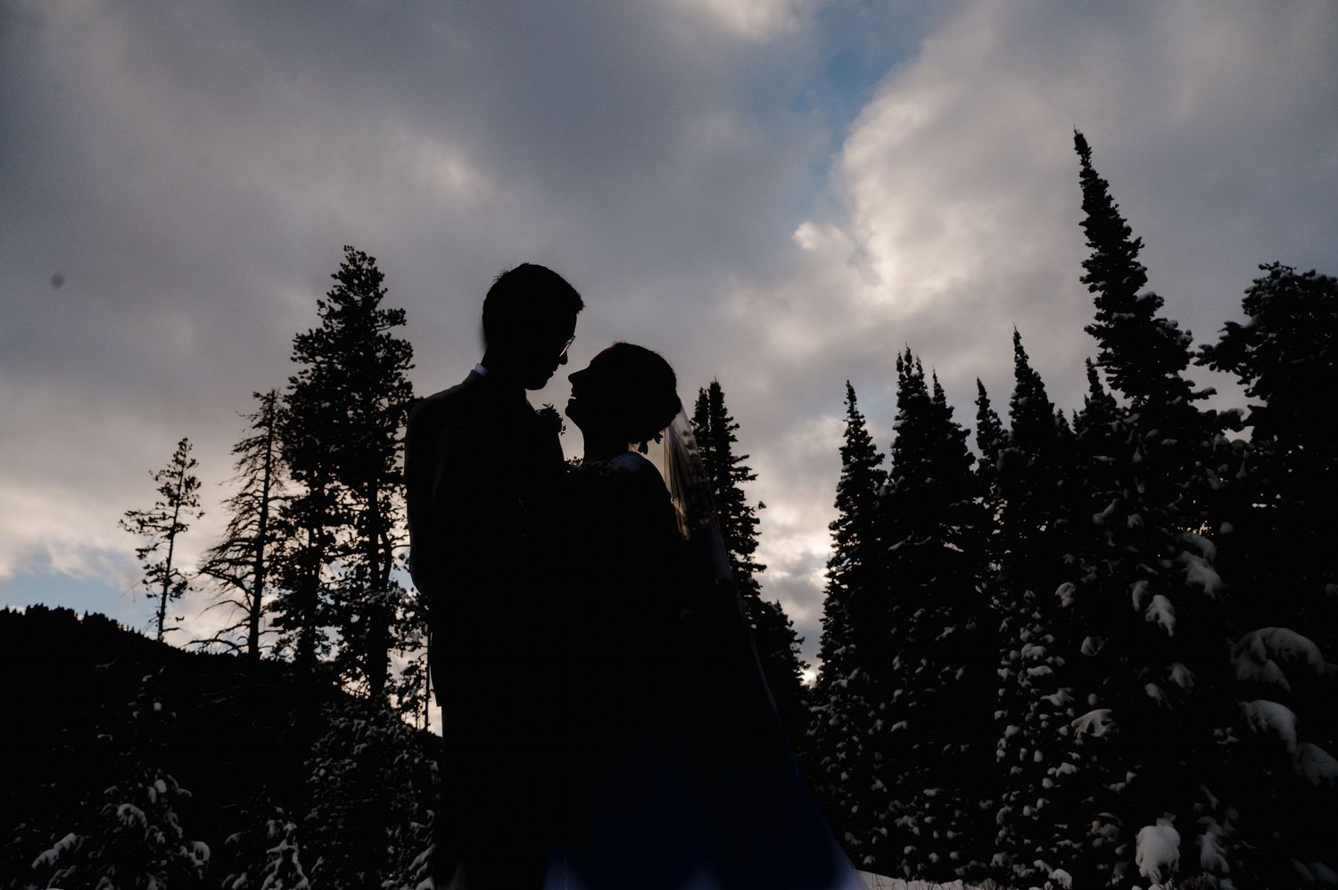 A silhouetted couple stands against a dramatic winter sky with evergreen trees.