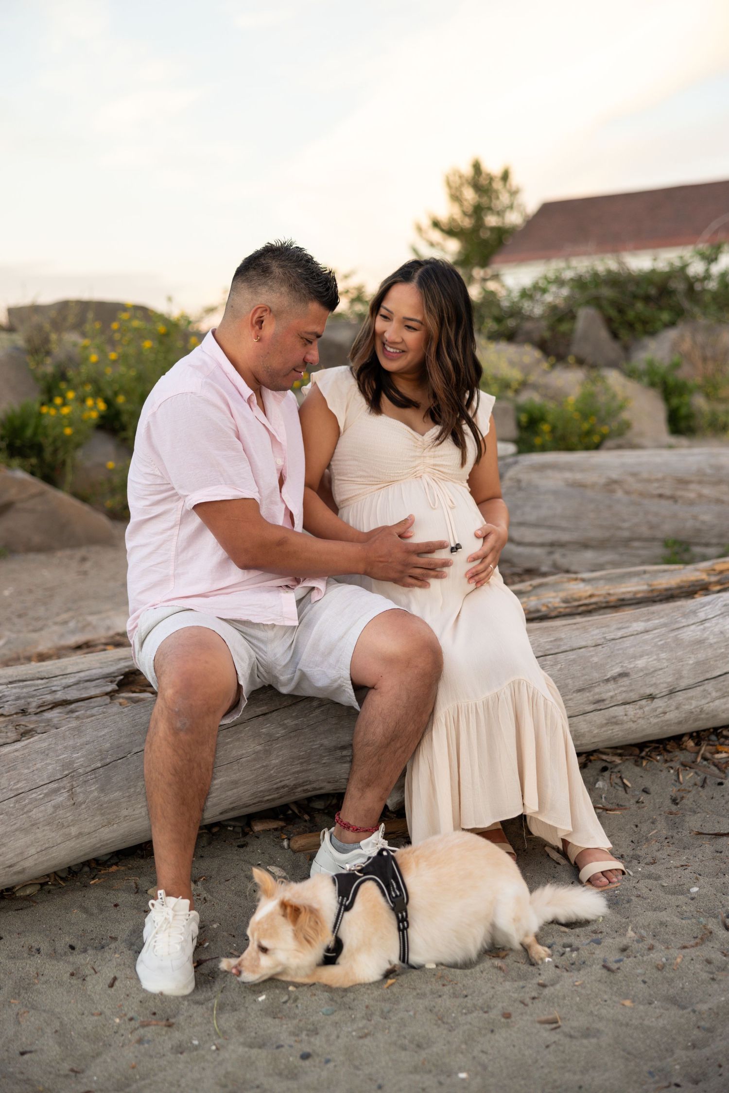Couple sits on driftwood log at beach with white cat during sunset.
