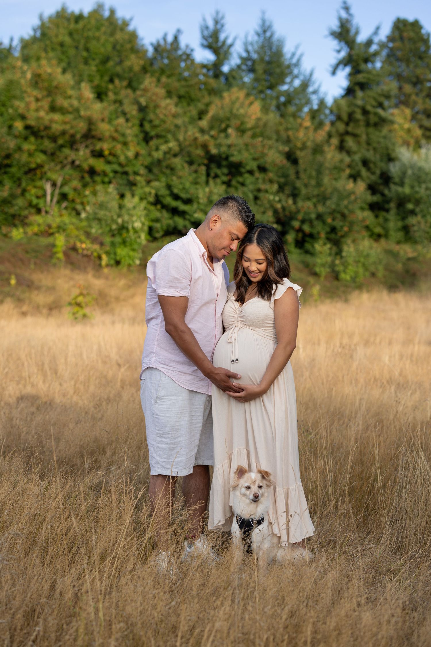 Expectant couple poses with small white dog in golden summer field.