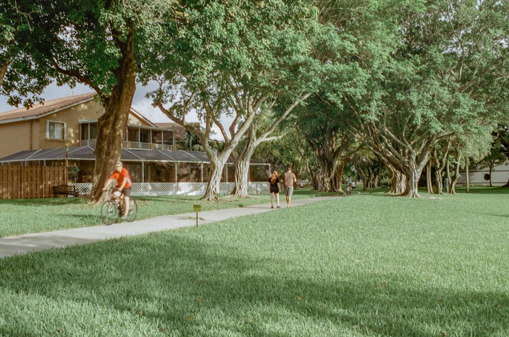People walking along a tree-lined path near a residential building on a sunny day.