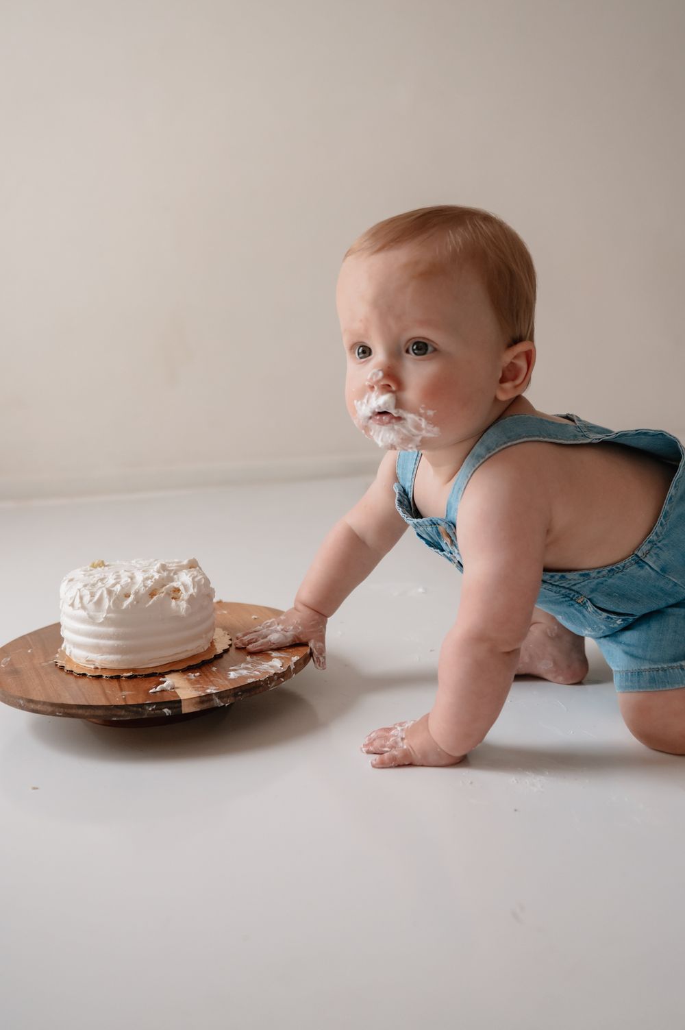 Auburn MA cake smash photographer