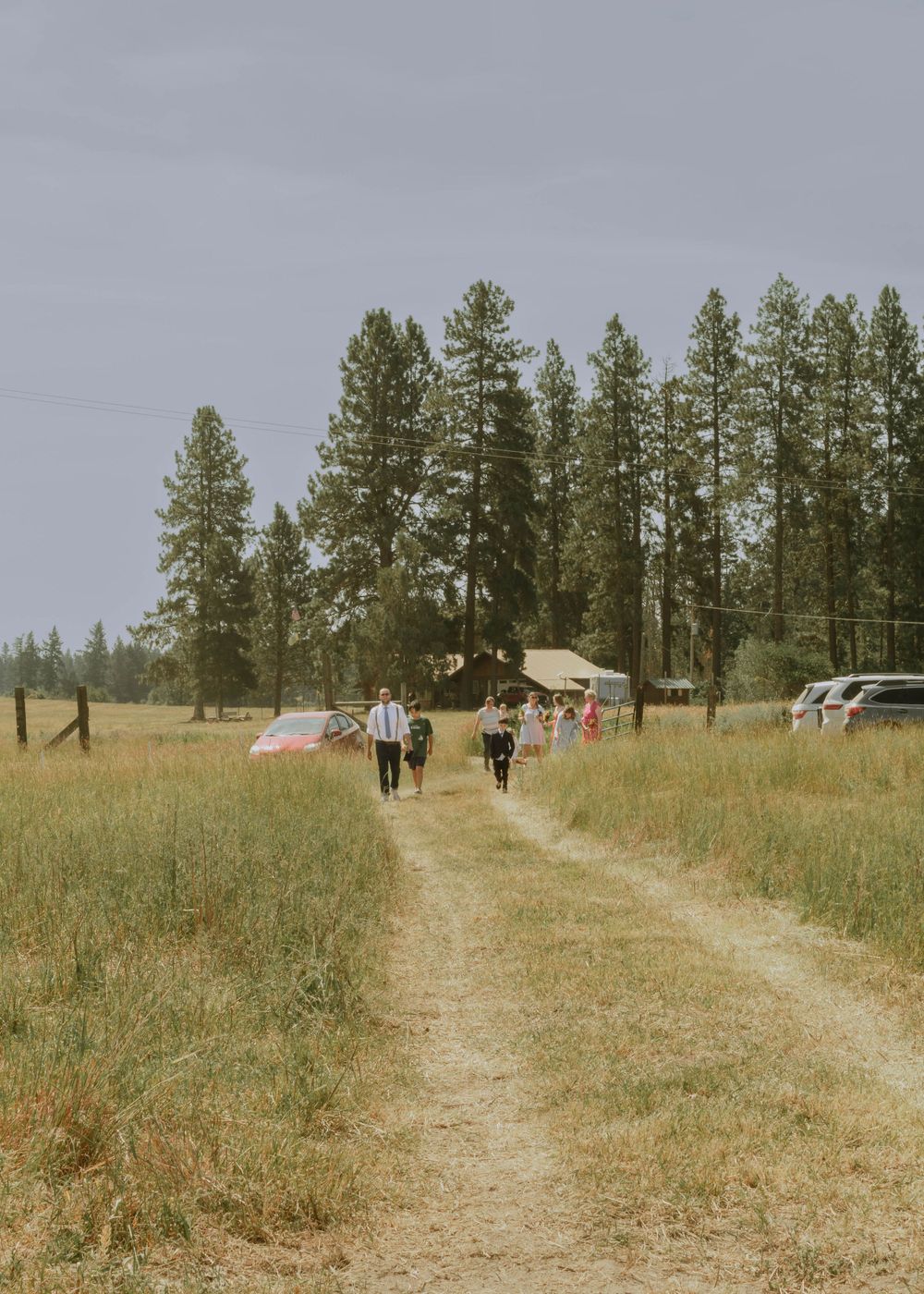 Wedding guests walking together from family home on property to ceremony location, large trees in background.