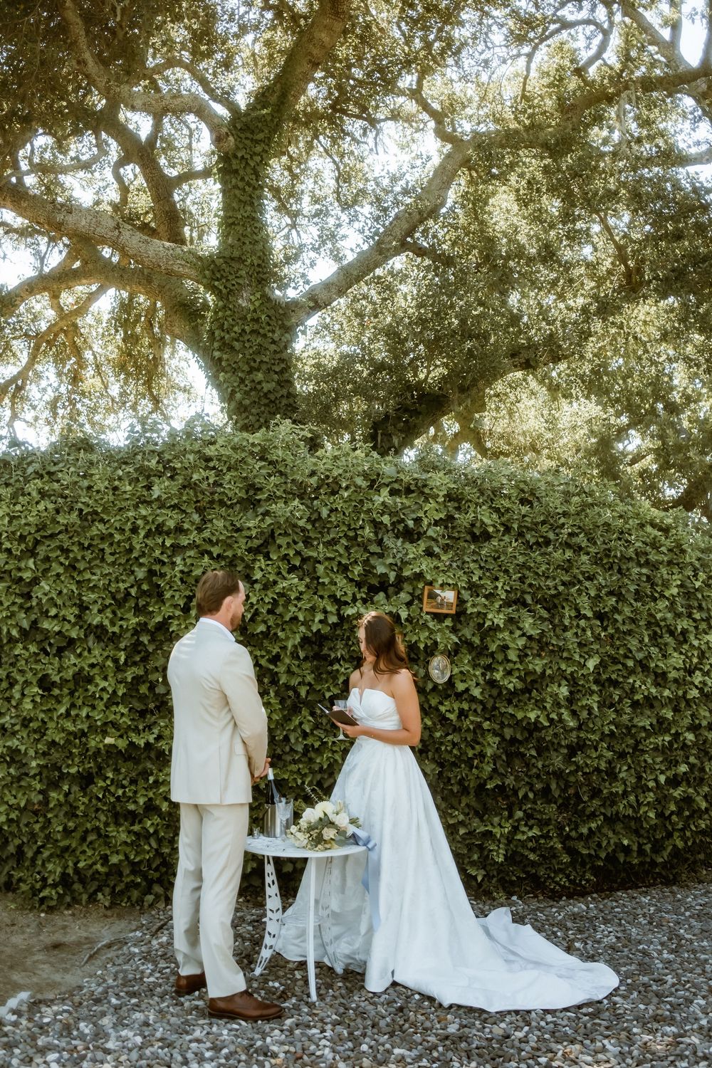 Bride and groom exchange vows outdoors beneath a large oak tree with lush green ivy hedge backdrop.