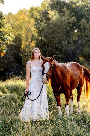 Beautiful brown horses stand in a sunlit meadow with tall grass and trees during golden hour.