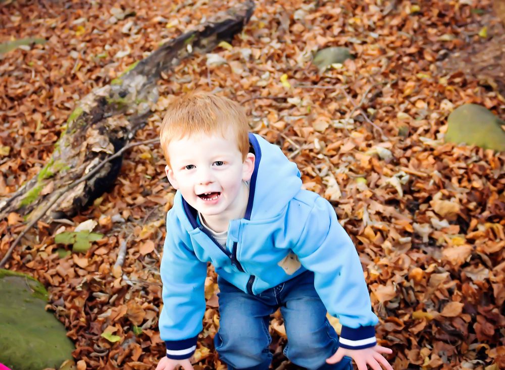 Fun playing in the leaves on an Autumn family session at Balbirne.