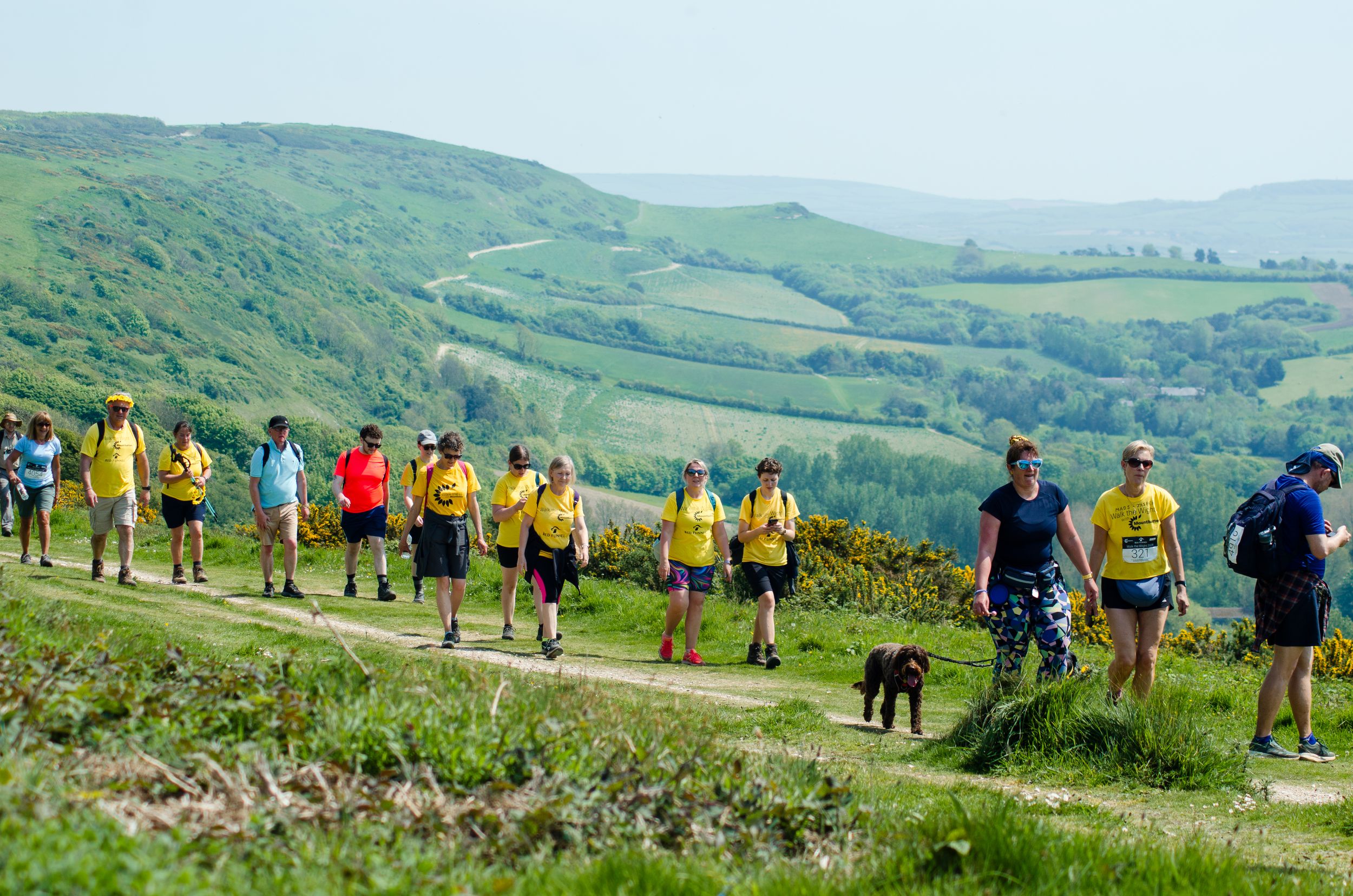 Walkers traverse green rolling hills during organized hiking event with dog.