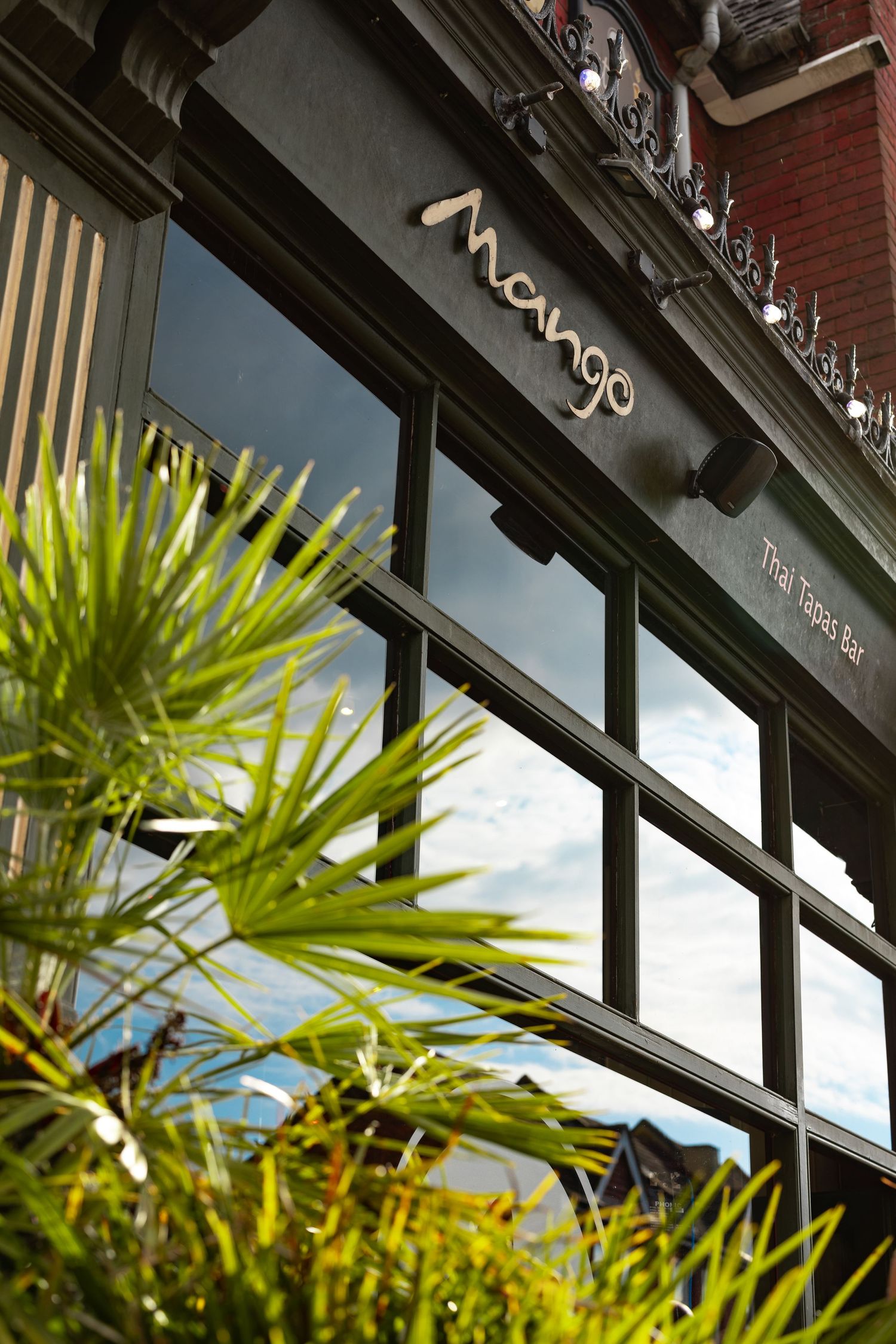 Mango restaurant storefront with dark green frame, large glass windows, brick facade and palm plants, commercial exterior photography