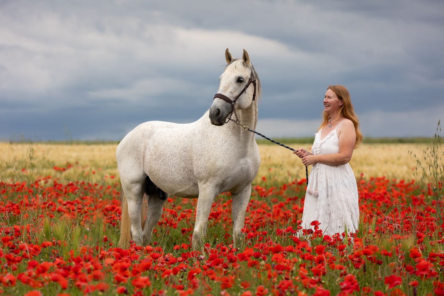 Woman in white dress leading a white horse through a vibrant red poppy field under a dramatic cloudy sky.