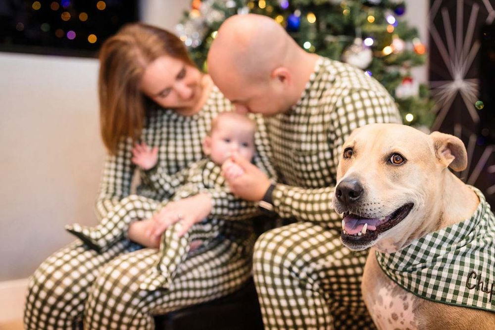 Family in matching green plaid pajamas with baby and smiling dog poses for Christmas photo near decorated tree.