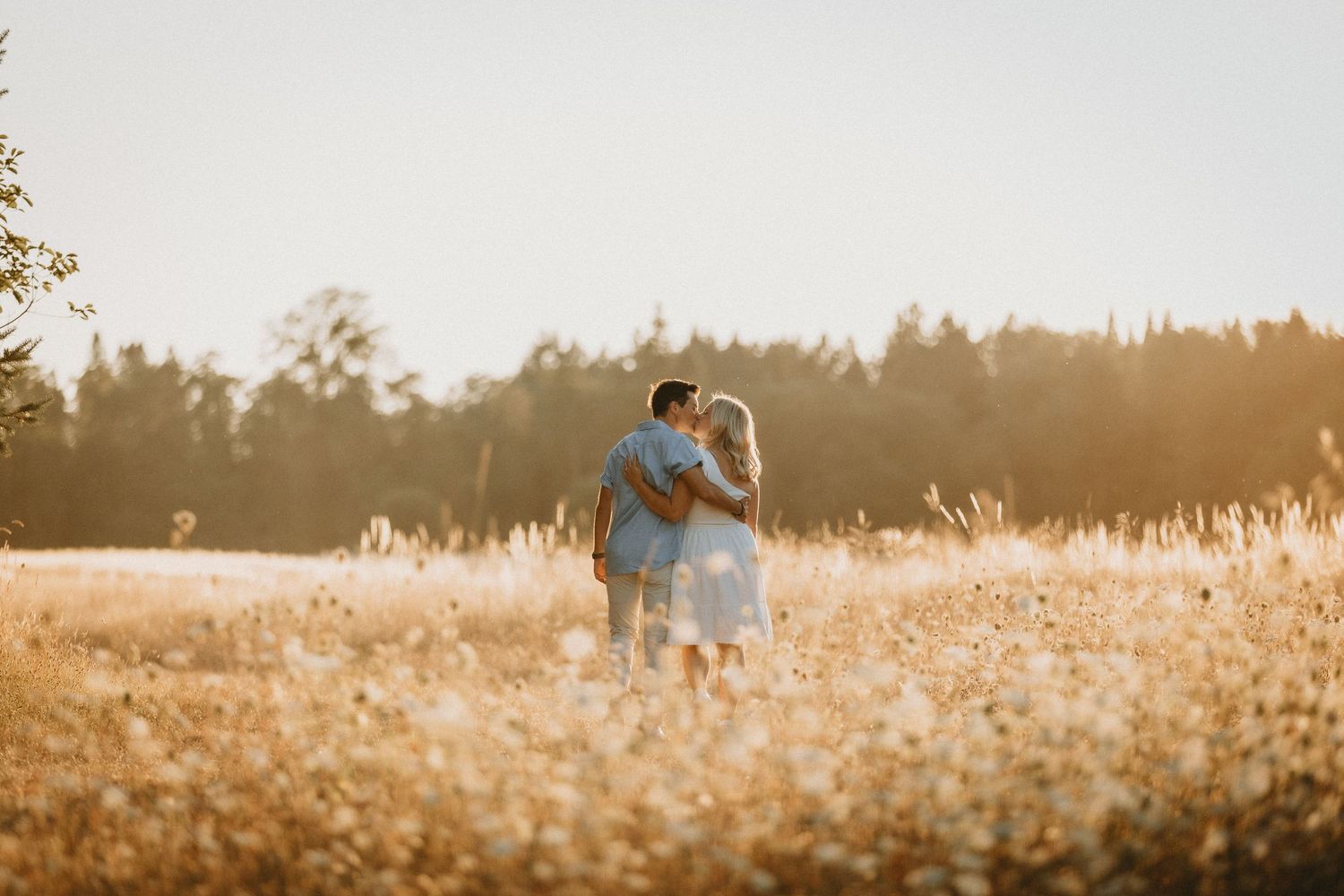 A couple embracing in a golden sunlit field during sunset for an engagement photo shoot.