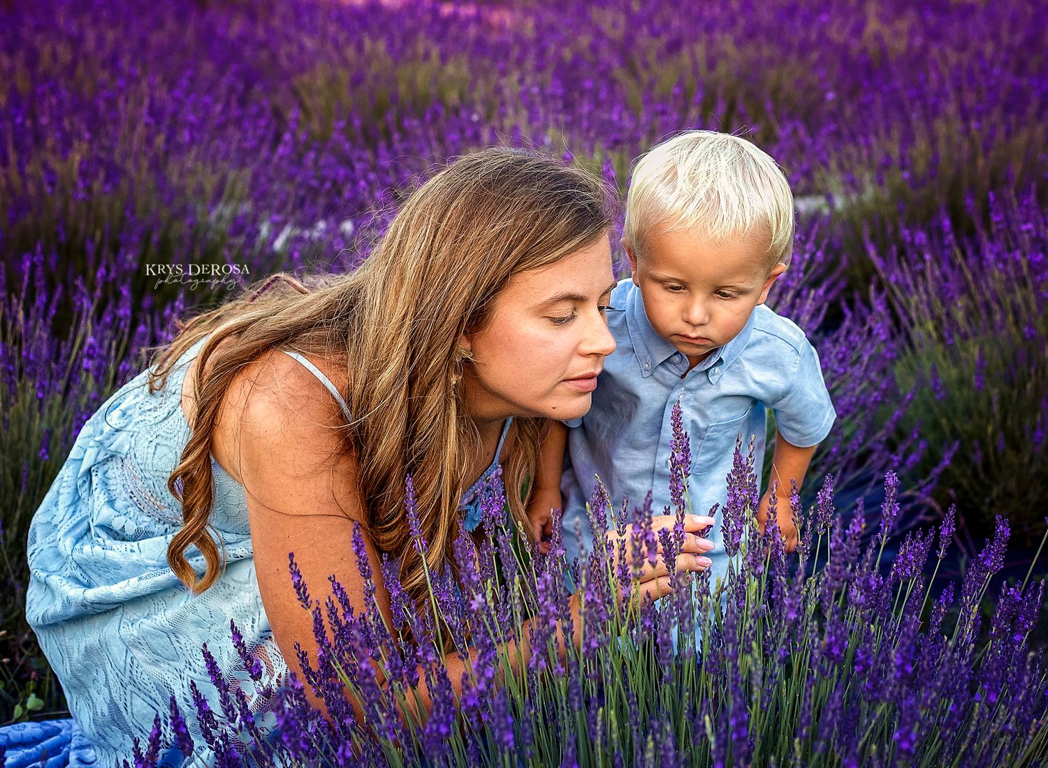 Mother and toddler boy smelling purple lavender flowers in a vibrant lavender field during a family photo session.