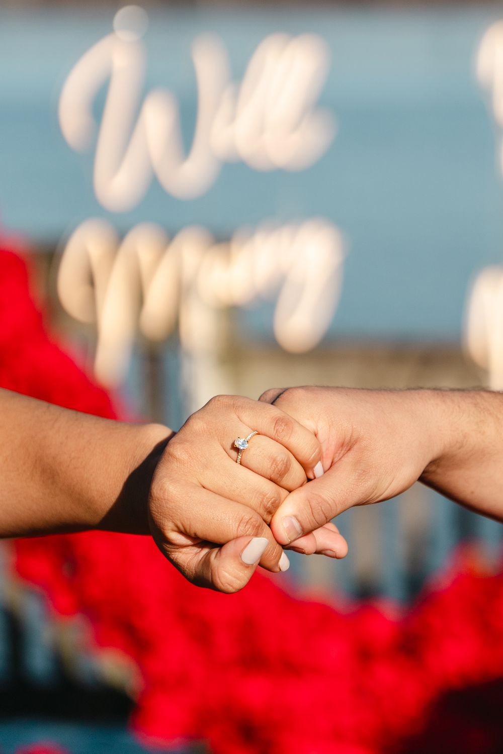 Close-up of two hands holding, woman wearing engagement ring, red roses and We May sign in background.