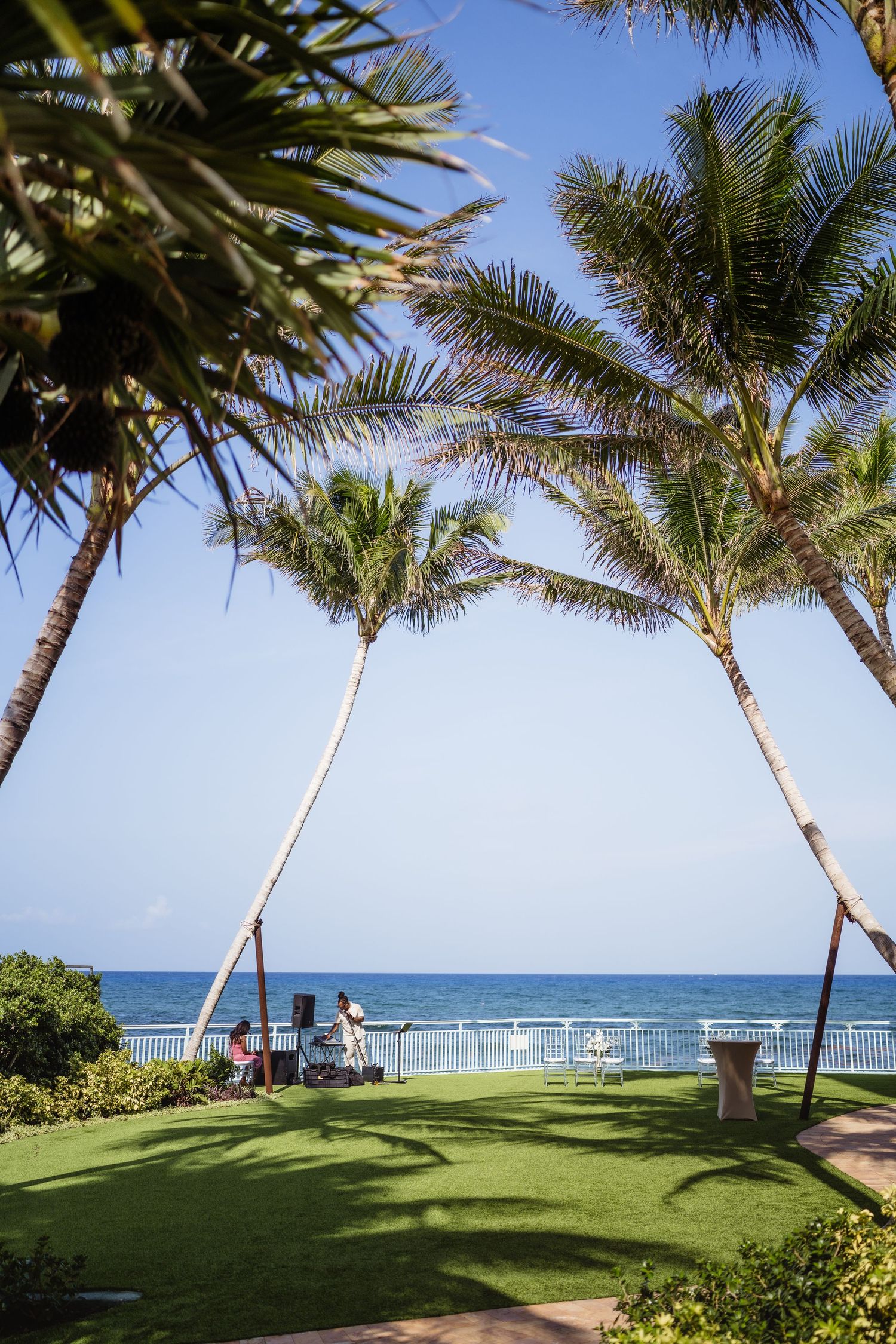 Tropical oceanfront lawn with tall palm trees framing a serene blue sea view, white fence, and visitors relaxing on a sunny day.