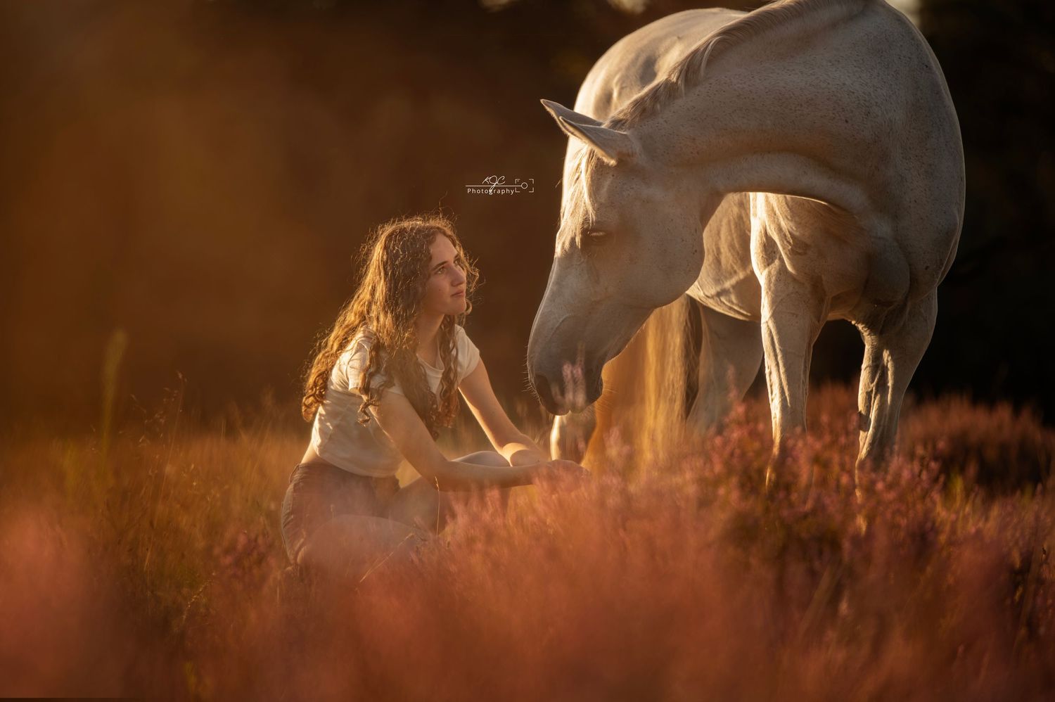 Meisje met haar witte paard tussen de heide tijdens zonsondergang. Fotoshoot met paard in de omgeving Doetinchem, Achterhoek.
