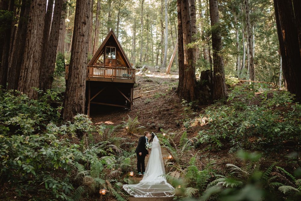 redwood forest wedding bride and groom photos