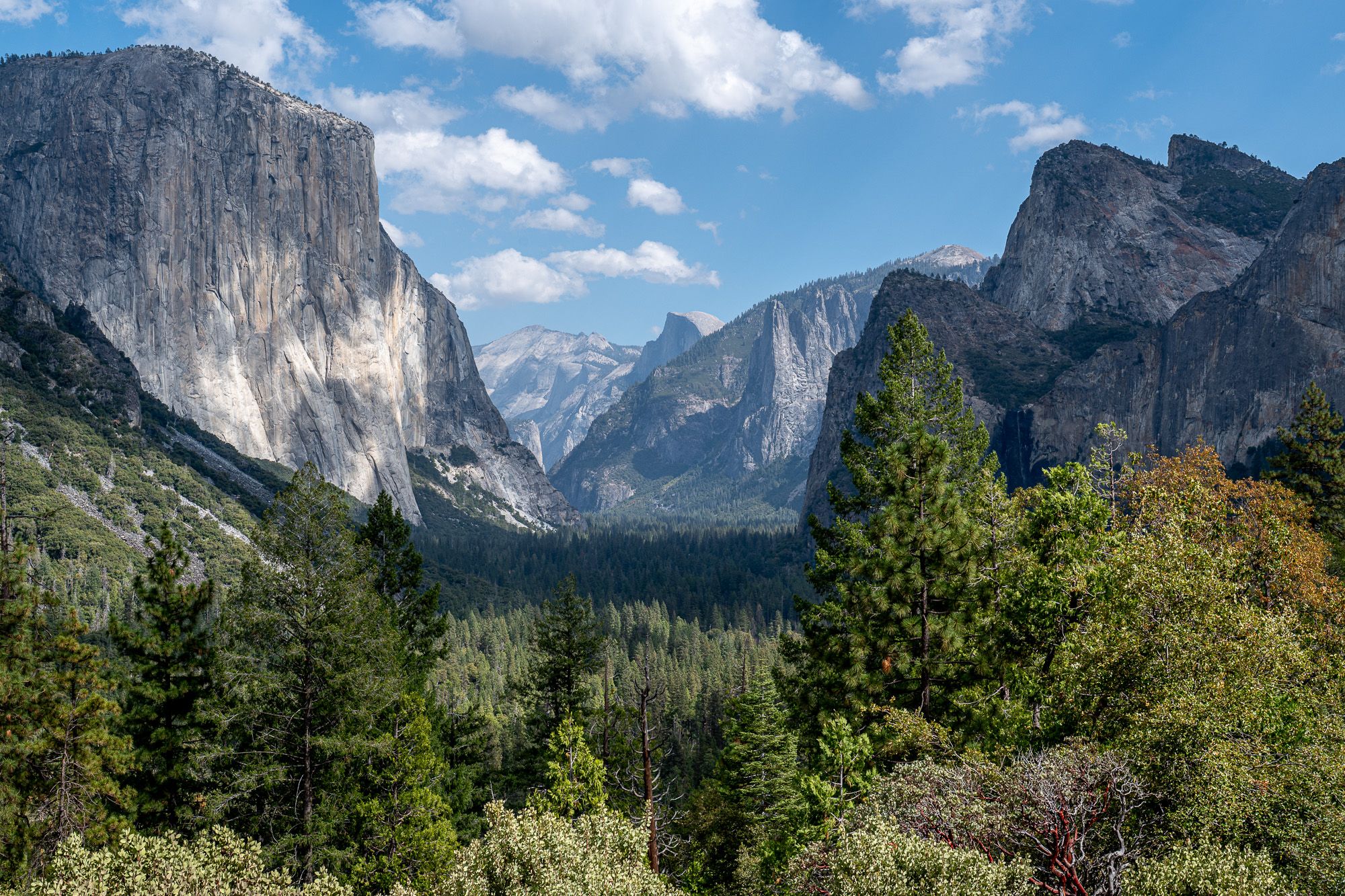 Granite cliffs and rocky peaks rise above a lush evergreen forest in a scenic Yosemite Valley view under a bright blue sky with clouds.