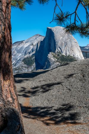 Half Dome granite peak in Yosemite National Park viewed from Glacier Point, framed by a pine trunk and branches under a clear blue sky.