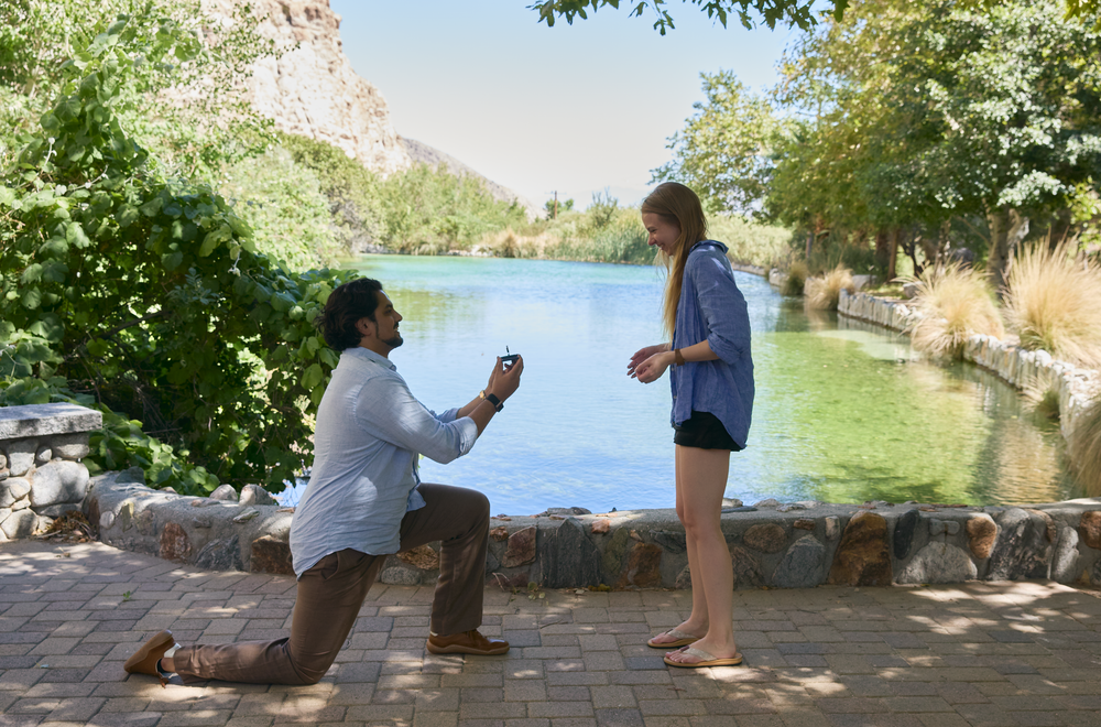 Man proposing to woman outdoors near a serene pond surrounded by lush green trees on a sunny day.