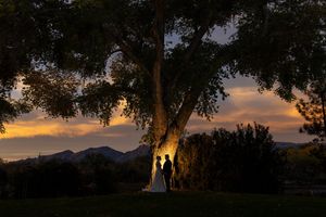 Silhouette of a couple exchanging vows under a large tree at sunset with mountain views.
