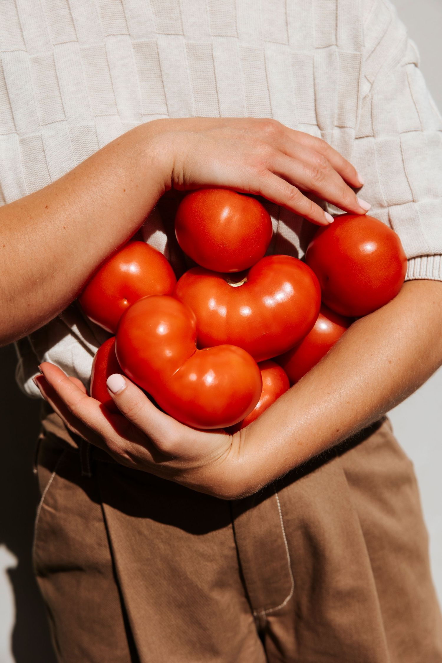 Person holding a pile of fresh ripe red tomatoes in their hands against a white background.