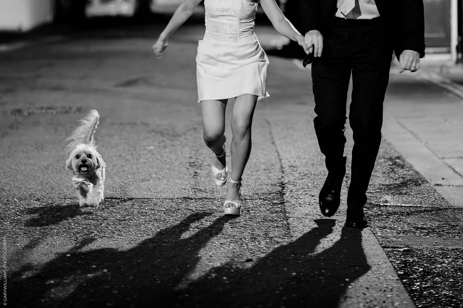 A series of black and white wedding photos showing a bride in a ballgown and guests at an elegant indoor reception.