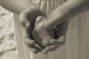 Child's hand holding shell