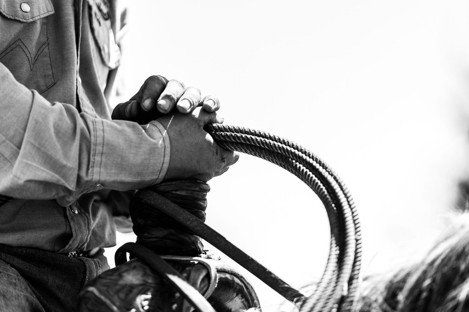 weathered hands of a cowboy resting on the saddle horn with a rope in his hands