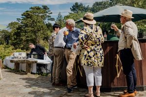 Wedding guests socializing outdoors at a sunny garden reception with drinks and buffet table.