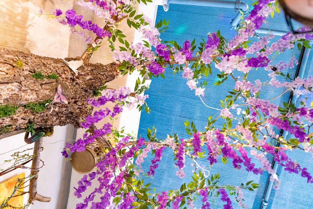 Vibrant purple and pink wisteria flowers cascading over a rustic tree trunk against a bright blue sky.