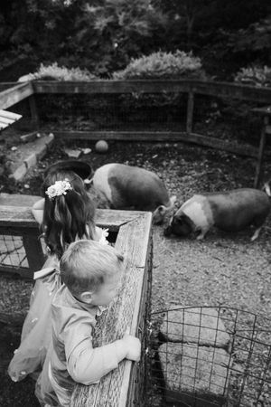 Two children watching pigs in a farm pen, black and white photo.