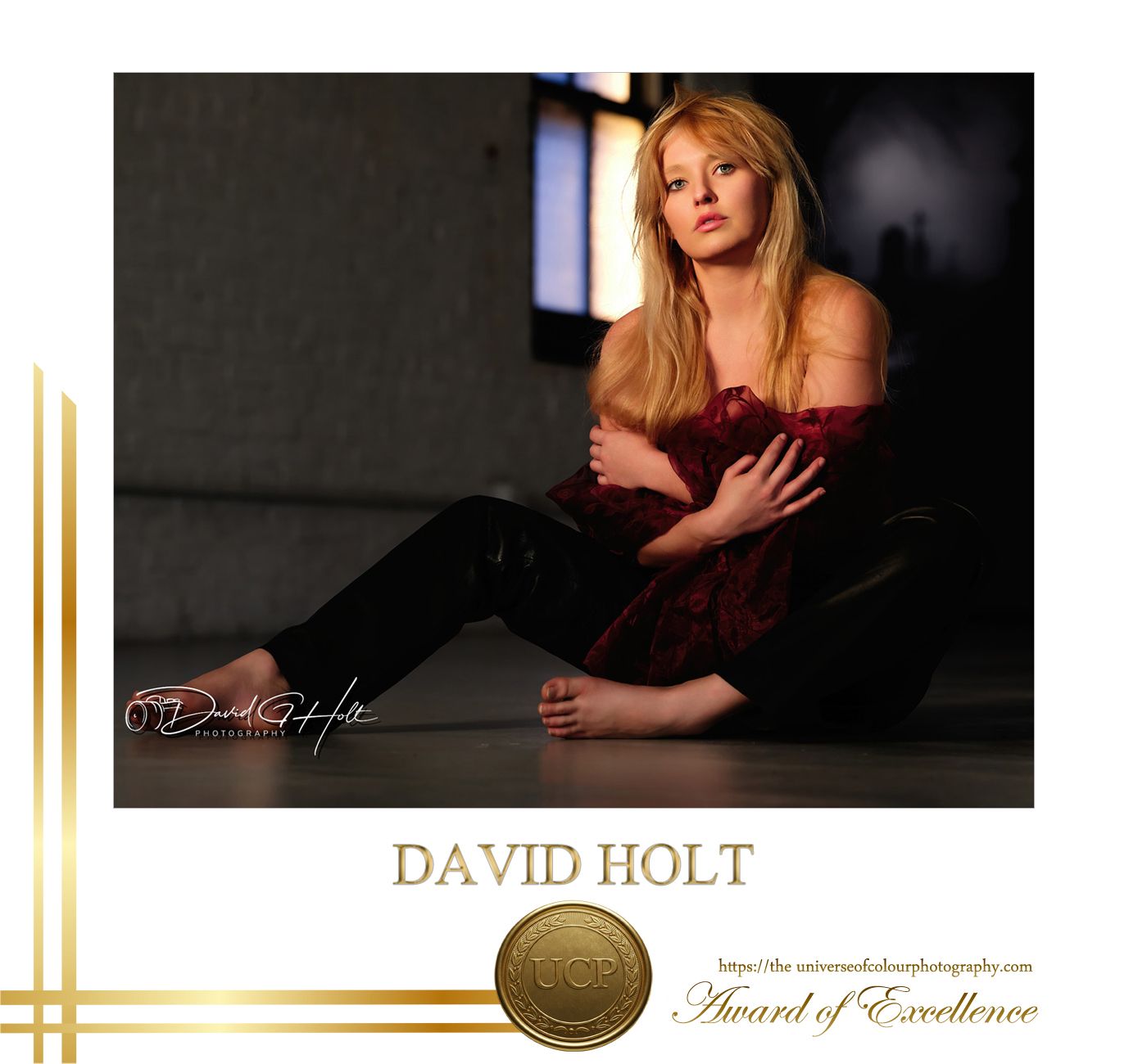 David G Holt Photography - Professional portrait photography collage with moody lighting and elegant poses against dark backgrounds.